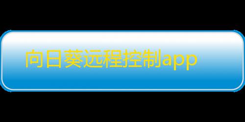 振刀辅助免费版向日葵远程控制app